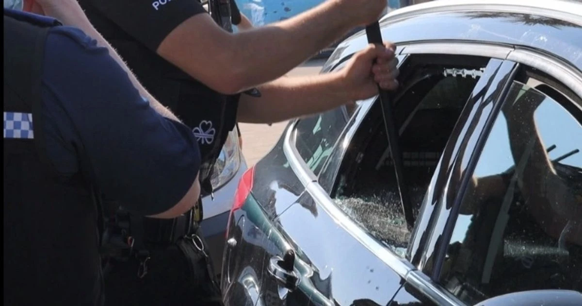 Police smash car to save dogs in 24C heat - as owner moans 