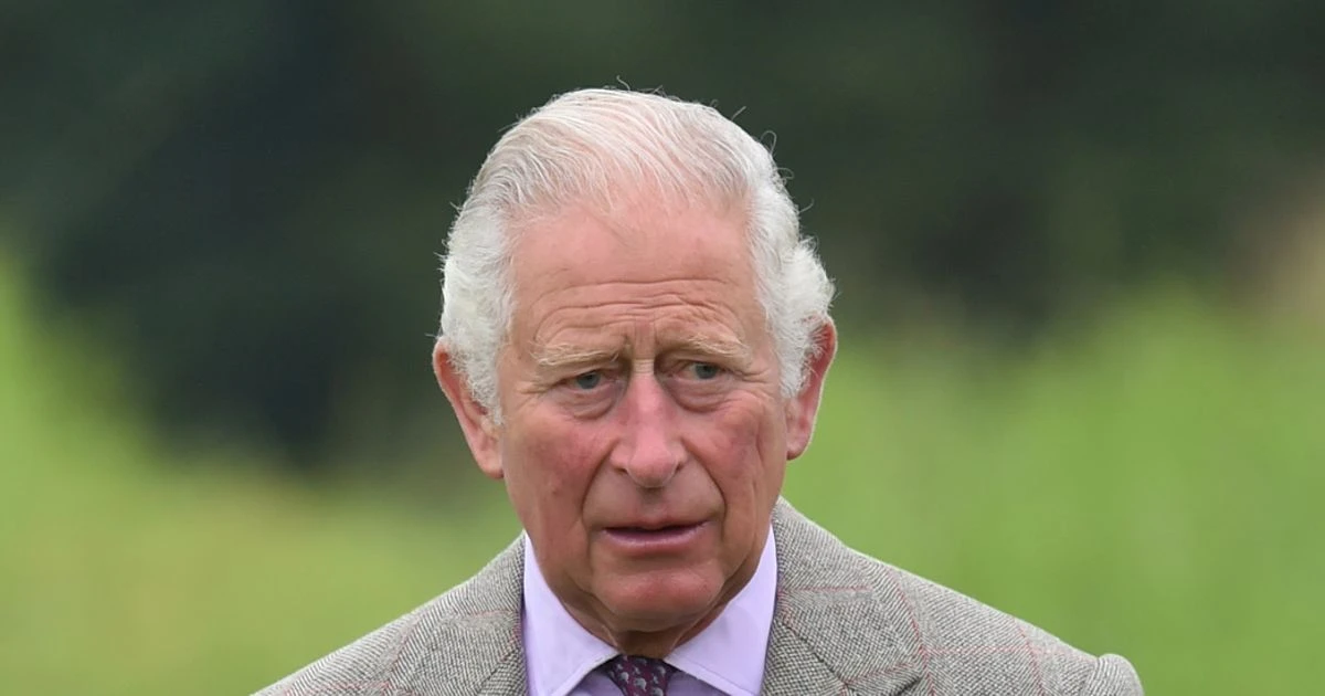 Prince Charles is 'immensely sensitive' and can't handle Harry's criticism of royals