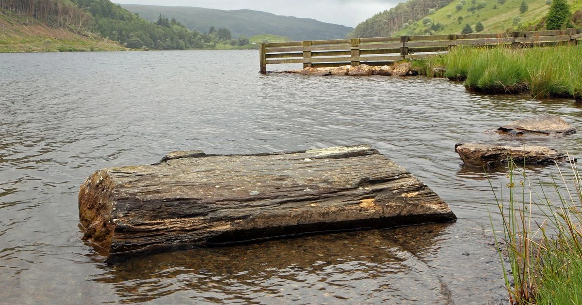 TripAdvisor reviewer slams Welsh lake for not having a McDonald's nearby