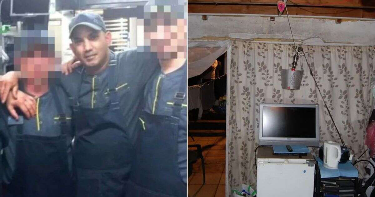 Inside horrifying UK slave ring with McDonald's workers forced to sleep in garden shed