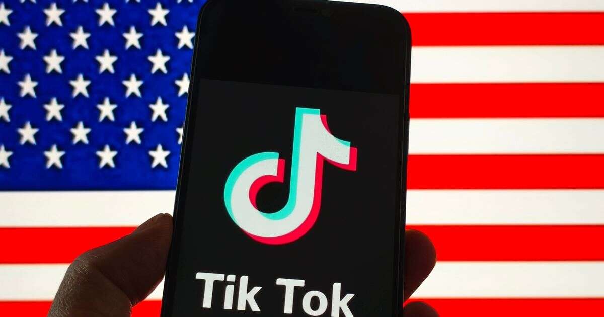 TikTok 'in the process' of returning to US users after going dark amid ban