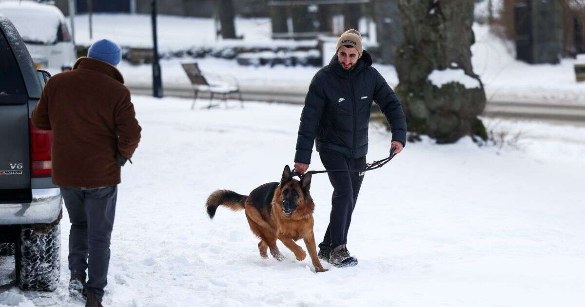 Full list of regions spared as fierce blizzard set to sweep across the UK