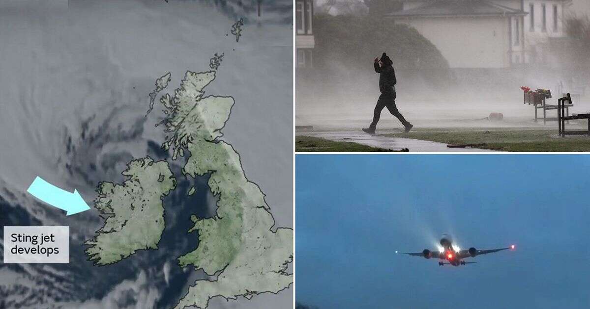 Met Office warns of dangerous 'sting jet' phenomenon in record-breaking Storm Éowyn winds