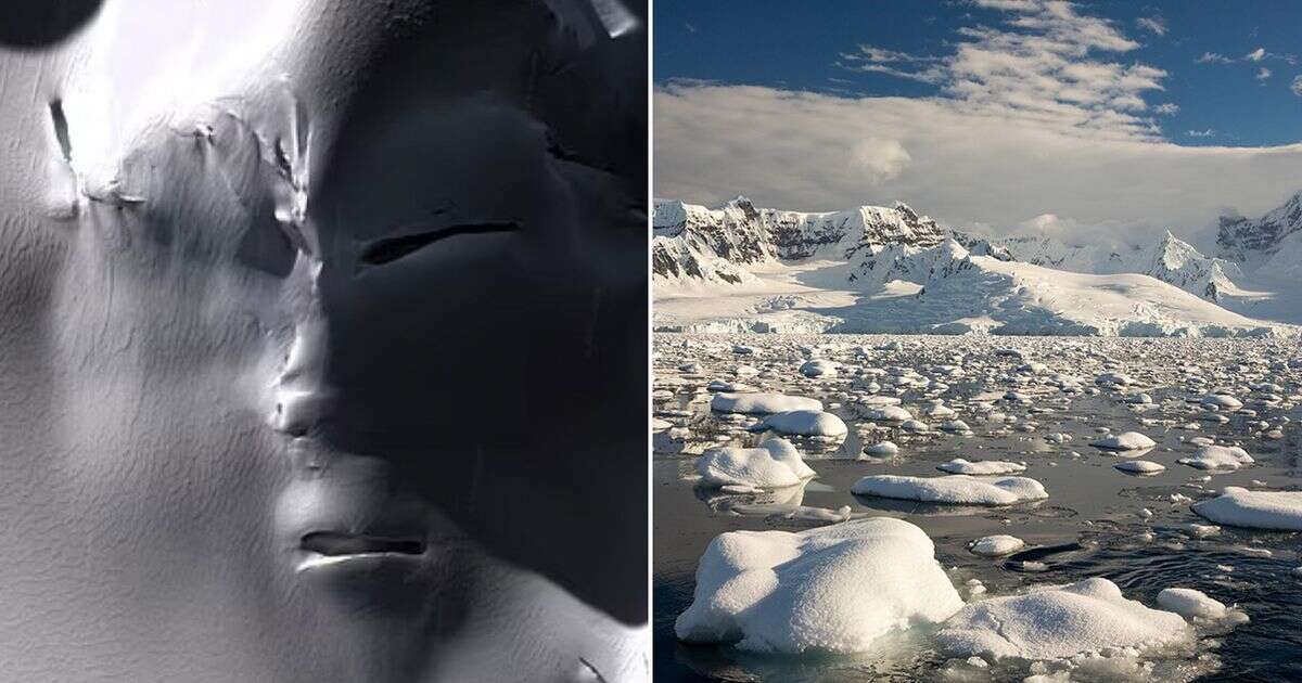 Huge 'alien' discovered in Antarctica as giant face spotted near South Pole