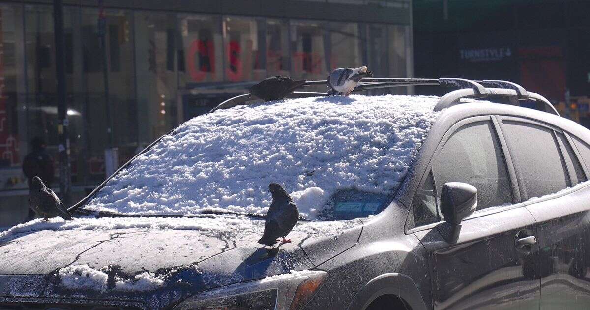 Dad who used 3-month-old baby to brush snow off car 'for TikTok views' likely to face charges