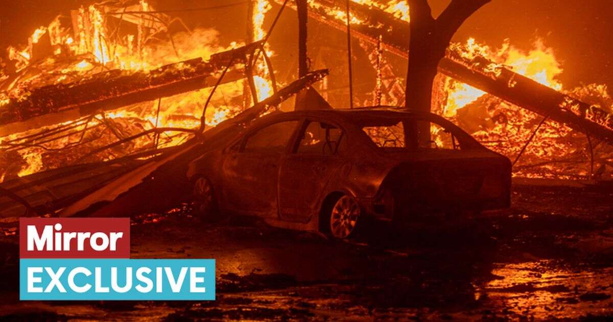 Hollywood stars' electric cars could become toxic ‘ticking time bombs' after LA fires