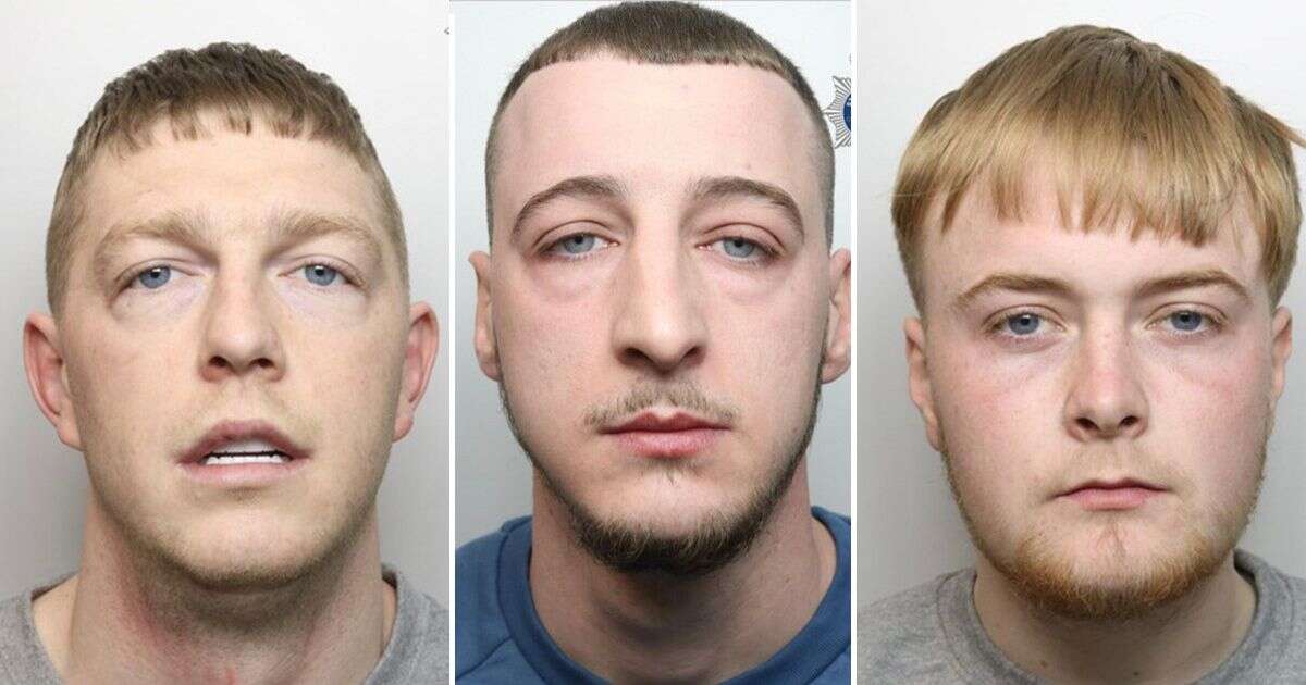 Three violent thugs ambushed bin men with GUN, axe and sledgehammer