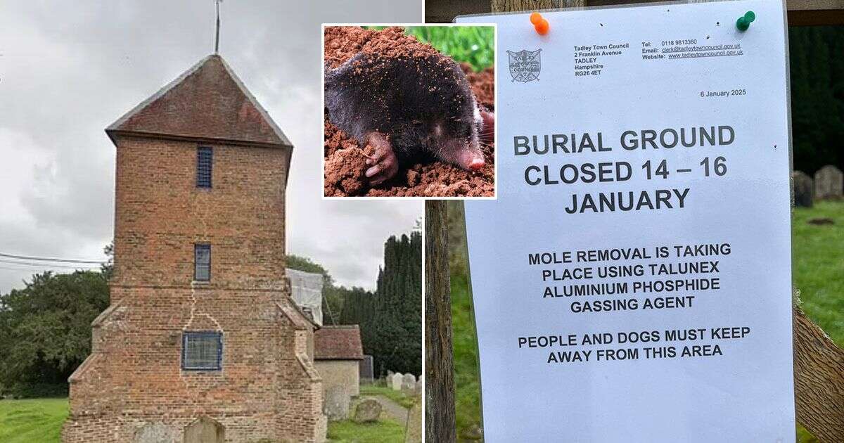 UK council forced to apologise after 'inhumanely' gassing local moles to death