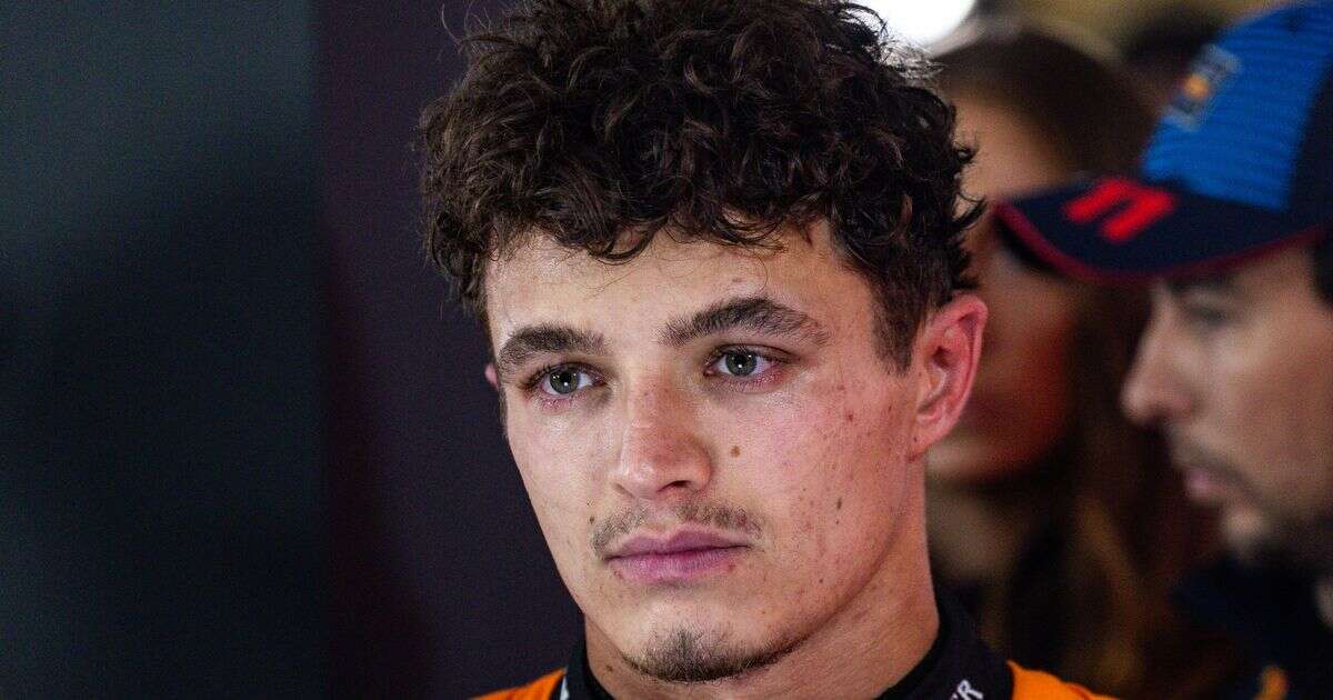 Lando Norris' foul-mouthed reaction as child claims F1 rival Max Verstappen is faster