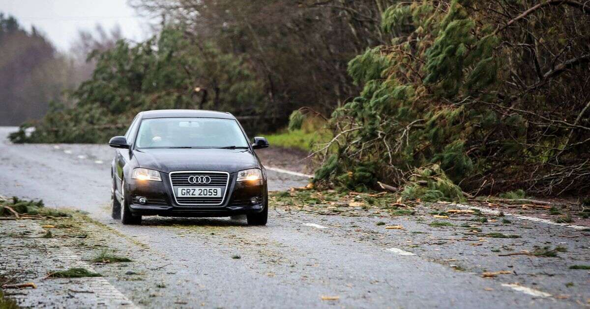 Driving instructor's two essential checks everyone should make as Storm Eowyn batters UK