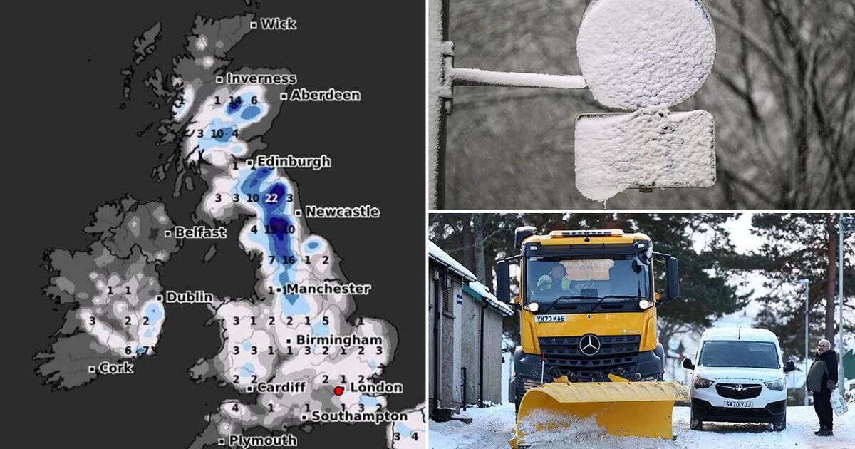 UK snow maps show 'Beast from the East' will bring 9 inches – with one place spared