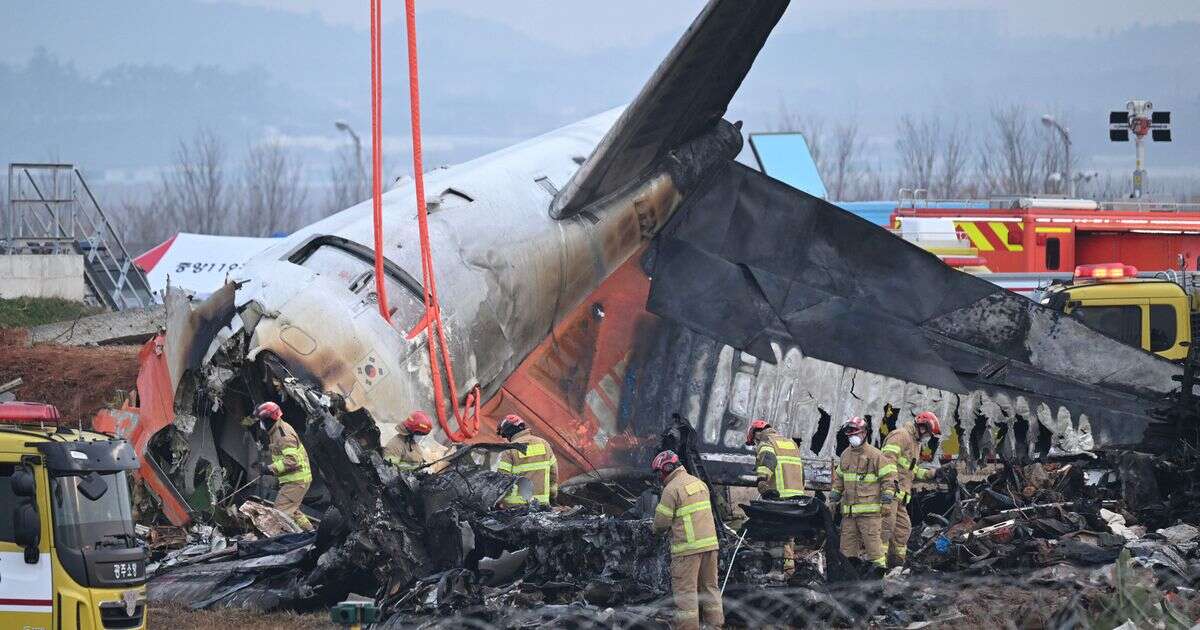 South Korea plane crash investigators make bombshell DNA discovery on disaster that killed 181