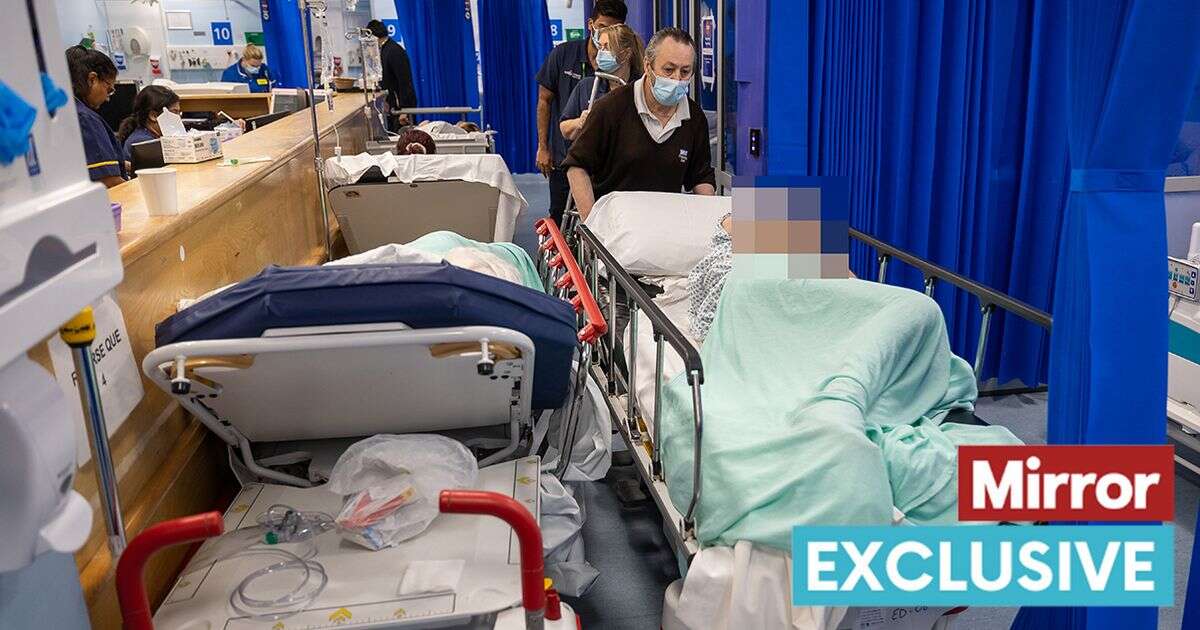 Shocking photos of an NHS in crisis - sick patients lie on trolleys head to toe as doctors despair