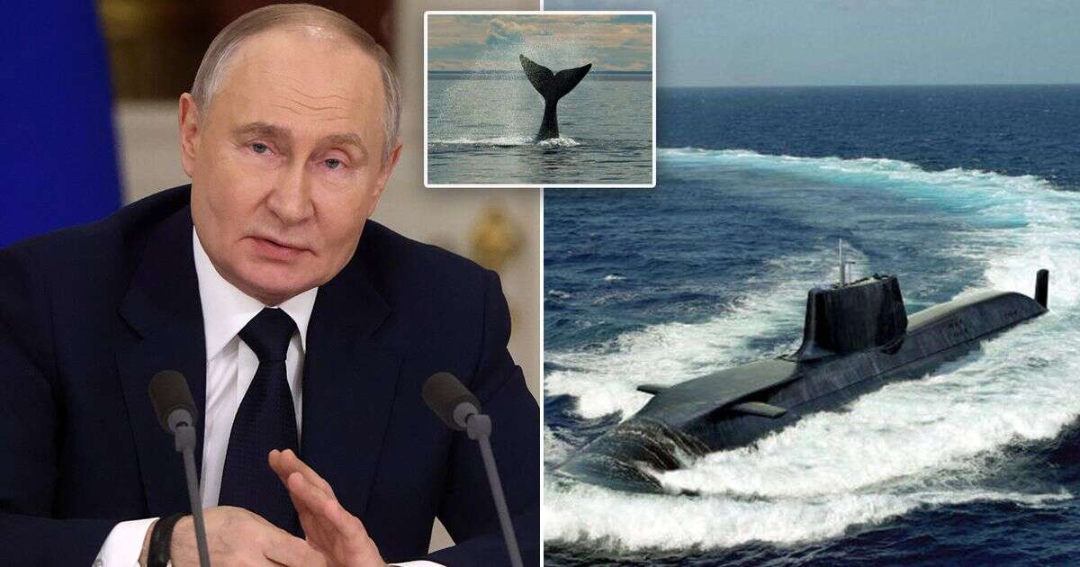 Navy chiefs thought Putin drone was spying on UK subs - but it was a farting whale