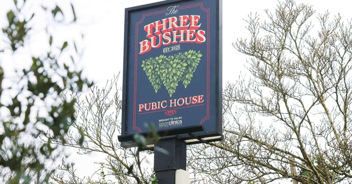 Pub changes name to 'The Three Bushes' and the new decor is bound to surprise you