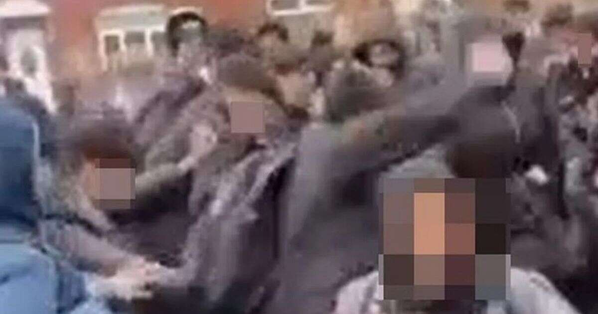 Horrific video shows moment mass brawl involving school children breaks out in street