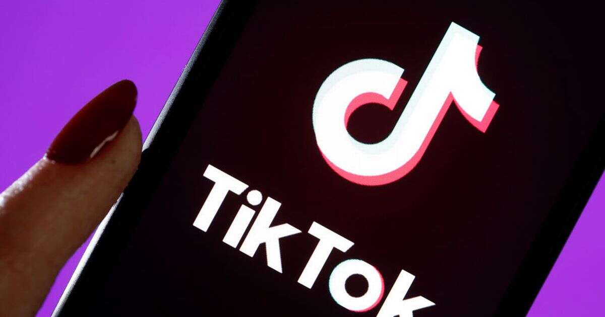 TikTok slammed as social media app used to 'sell blades without age verification'