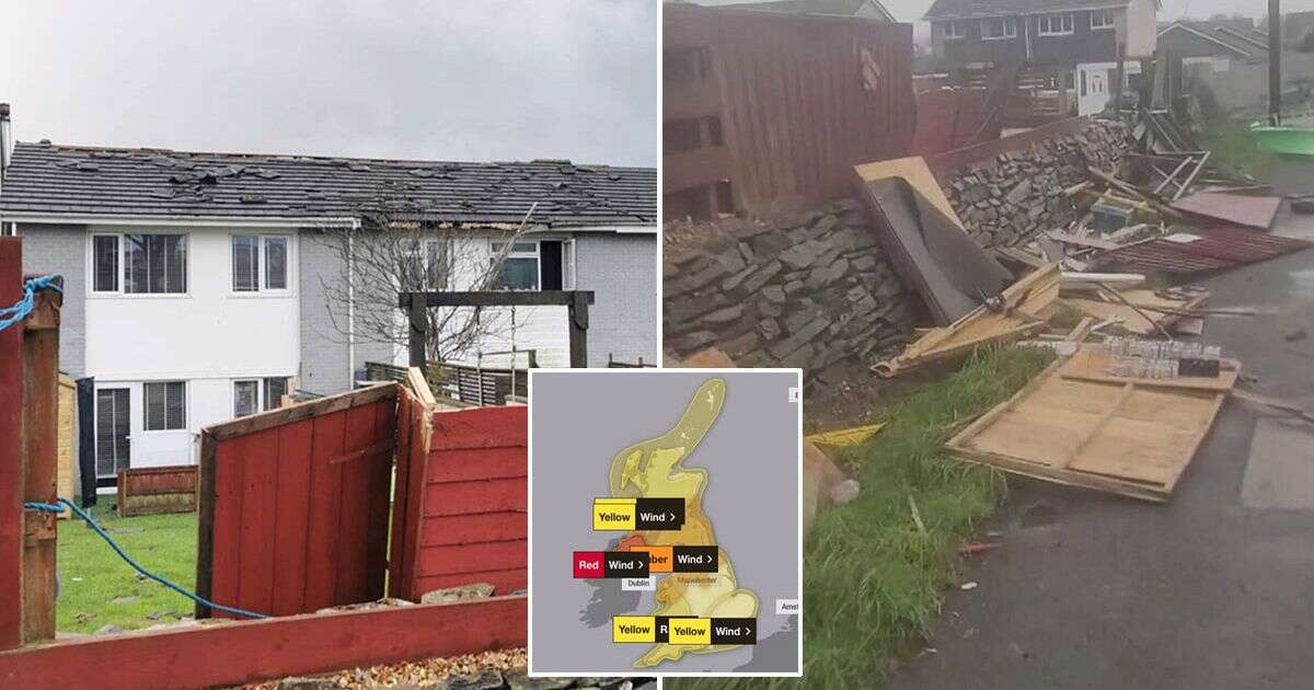 LiveStorm Eowyn LIVE: UK braces for weather chaos as schools shut and trains cancelled over deadly 100mph winds