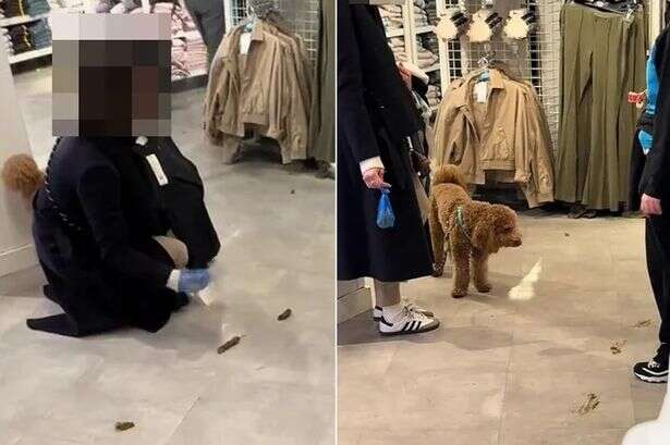 Woman takes dog to Primark but unthinkable happens in front of disgusted shoppers