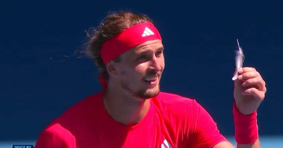 Alexander Zverev fumes at Australian Open umpire after feather halts match