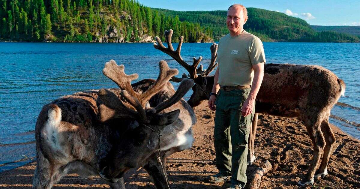 Putin in 'secret break at mountain hideout to bathe in blood of Siberian stags’