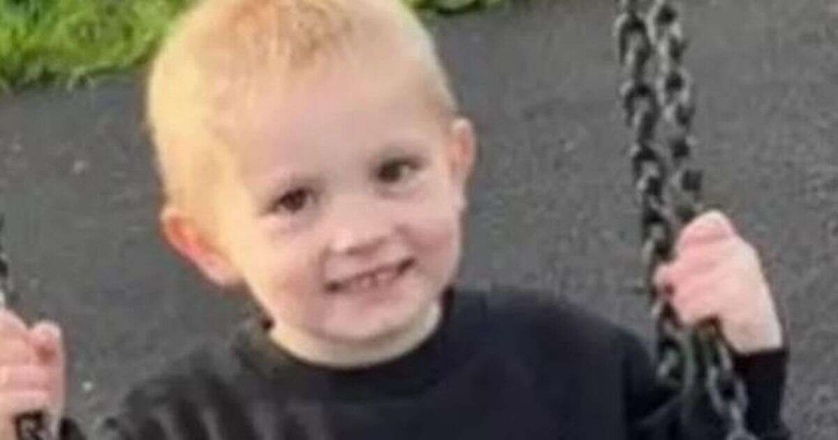 'Cheeky' boy, 5, killed by car 'as he ran across road looking for older brothers'