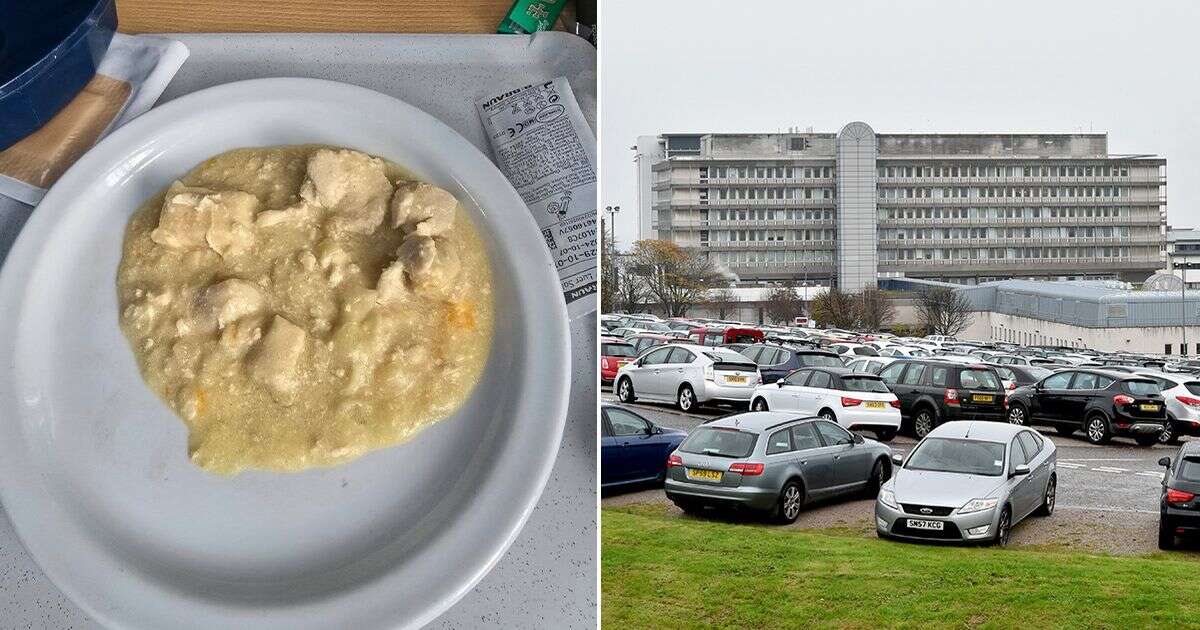 Patient slams hospital and shares horror pic of 'food that looks like vomit'