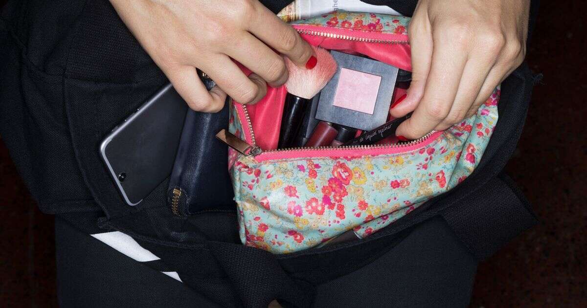 Expert urging people to check their handbags for sign of common bug