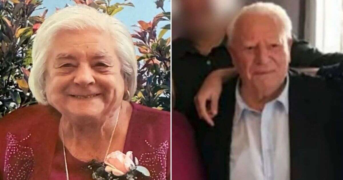 'Evil' pensioner, 93, stabbed wife 76 times but evades justice for sickening murder