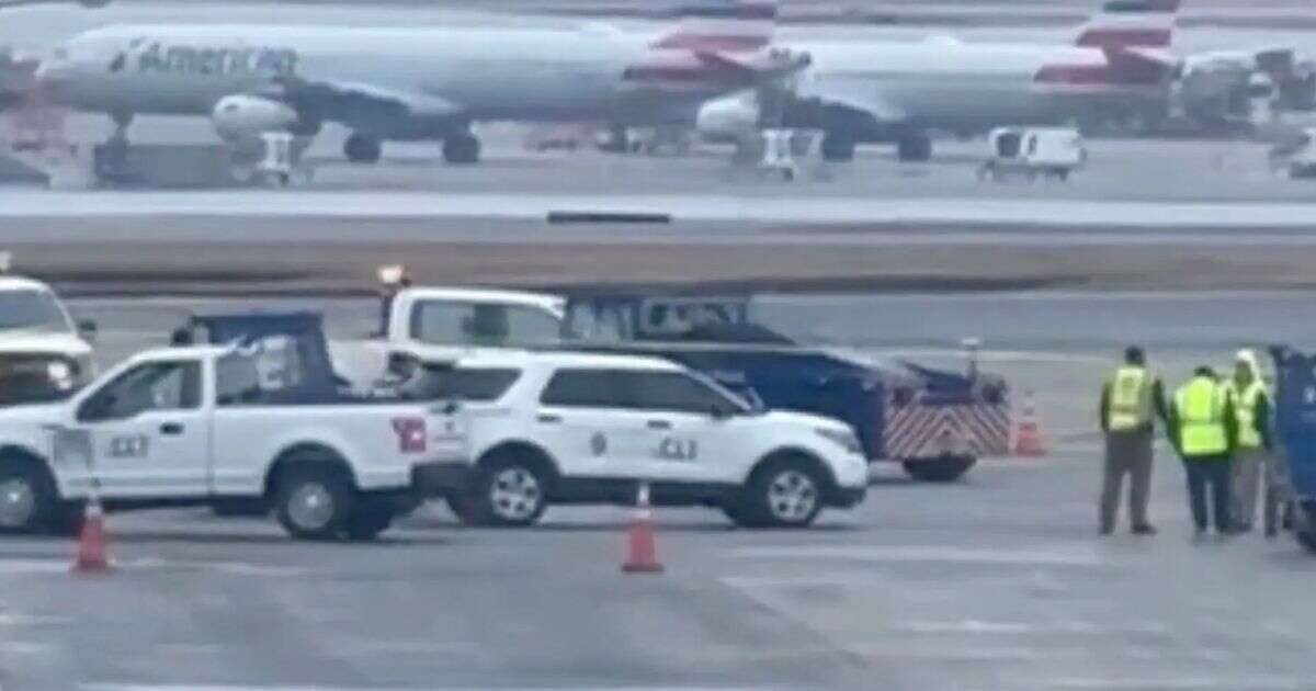 American Airlines worker killed after being hit by airport ramp truck while on runway