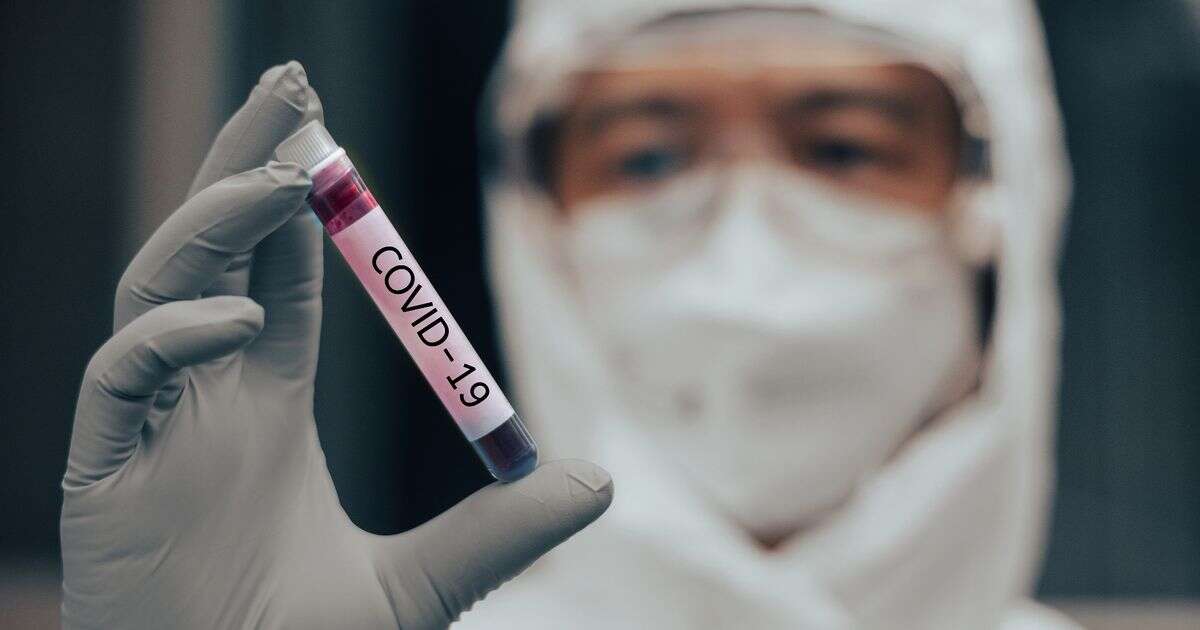 Coronavirus likely originated in Chinese laboratory, CIA claims in 'low confidence' report