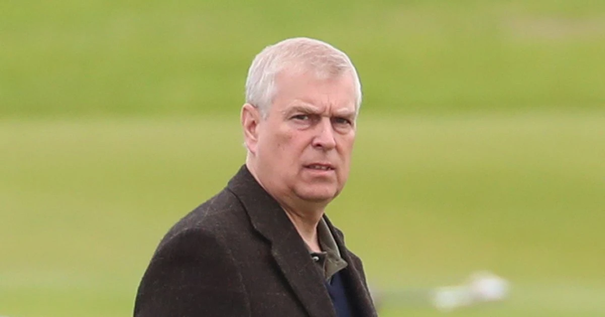 Prince Andrew 'plots return to royal duties despite his toxic reputation'