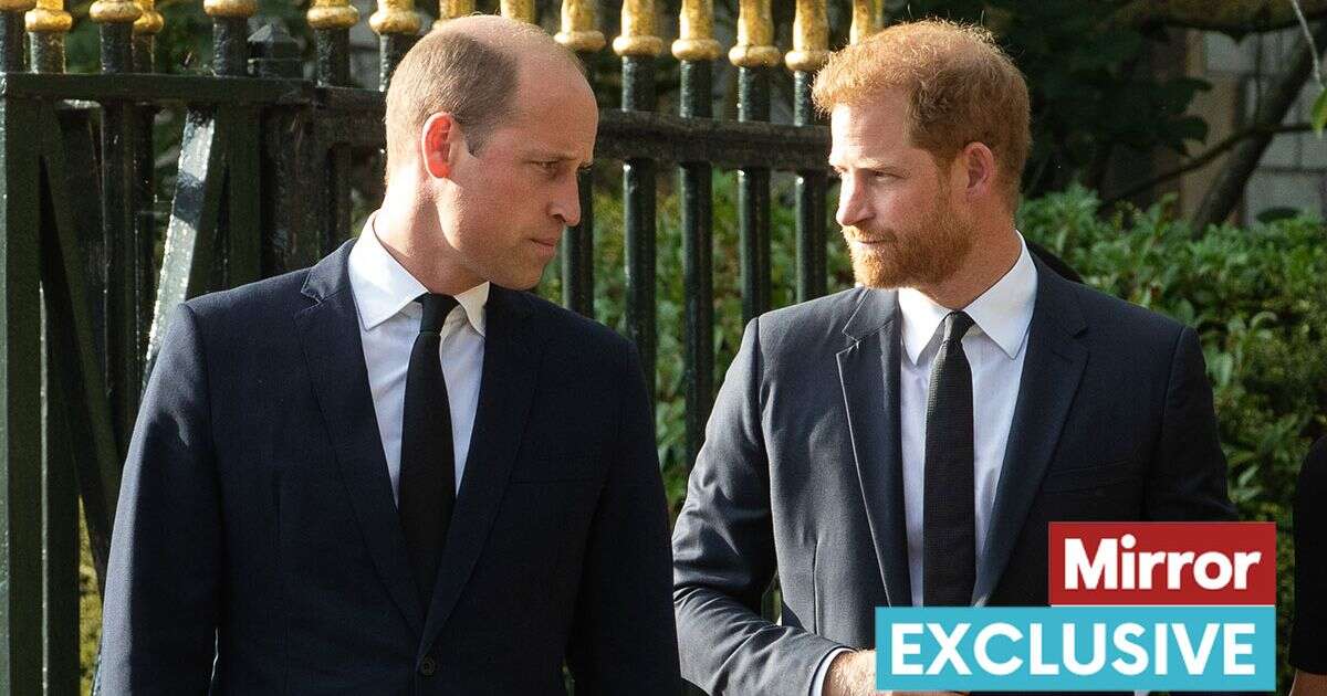 Prince William 'still very upset by Harry's behaviour as reunion plunged into doubt'