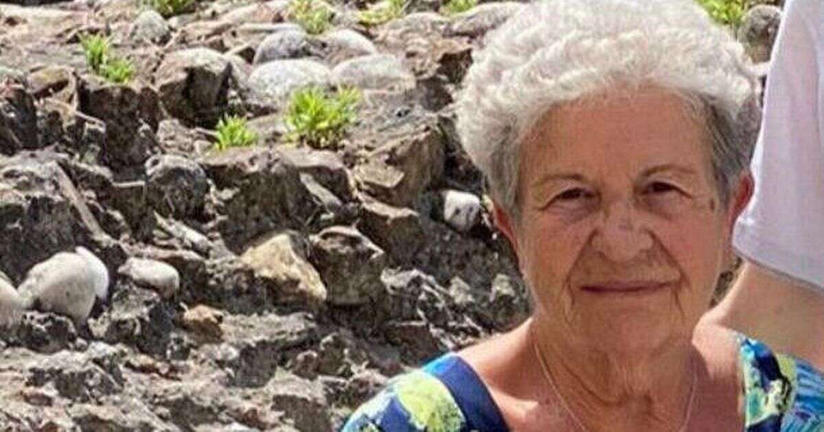 Gran, 89, lost in Alps for FIVE days survives by drinking rainwater and befriending fox