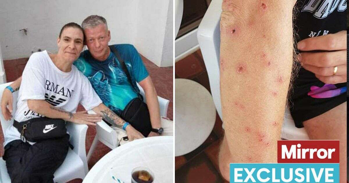 Brits at holiday hotspot ambushed by 'plague of bed bugs' - and hotel bosses have wild explanation