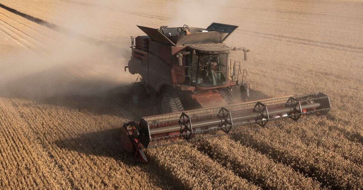 opinion'Farmers who join London tax protest are there out of greed - they don't care about farming'