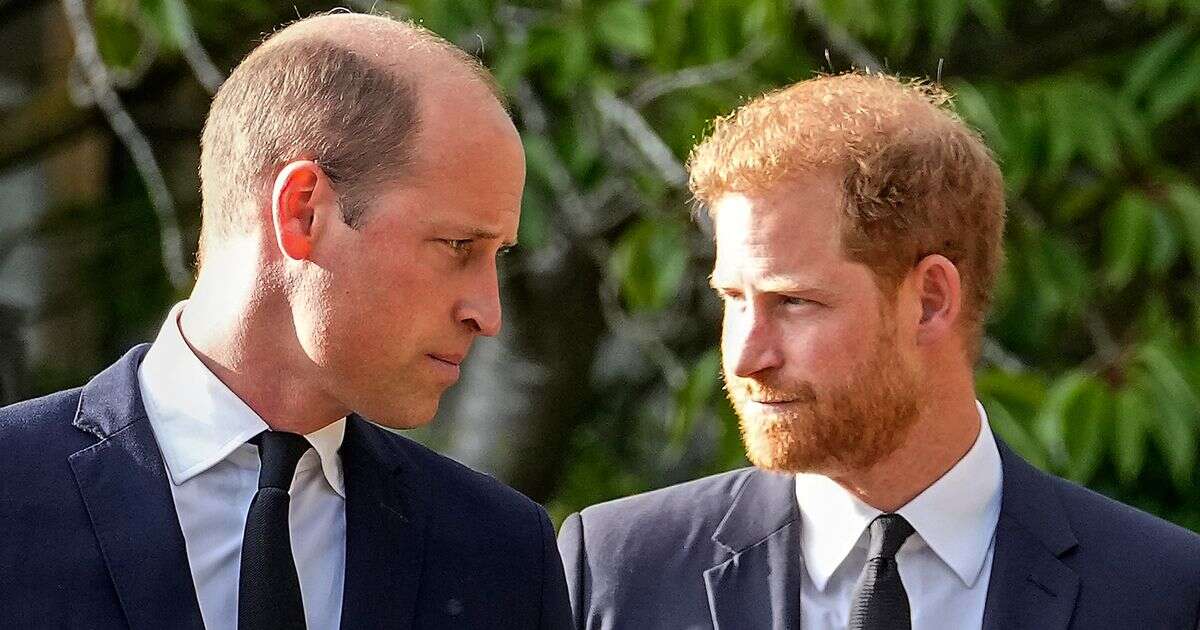 Prince William's confidant sums up Prince Harry rift with five telling words