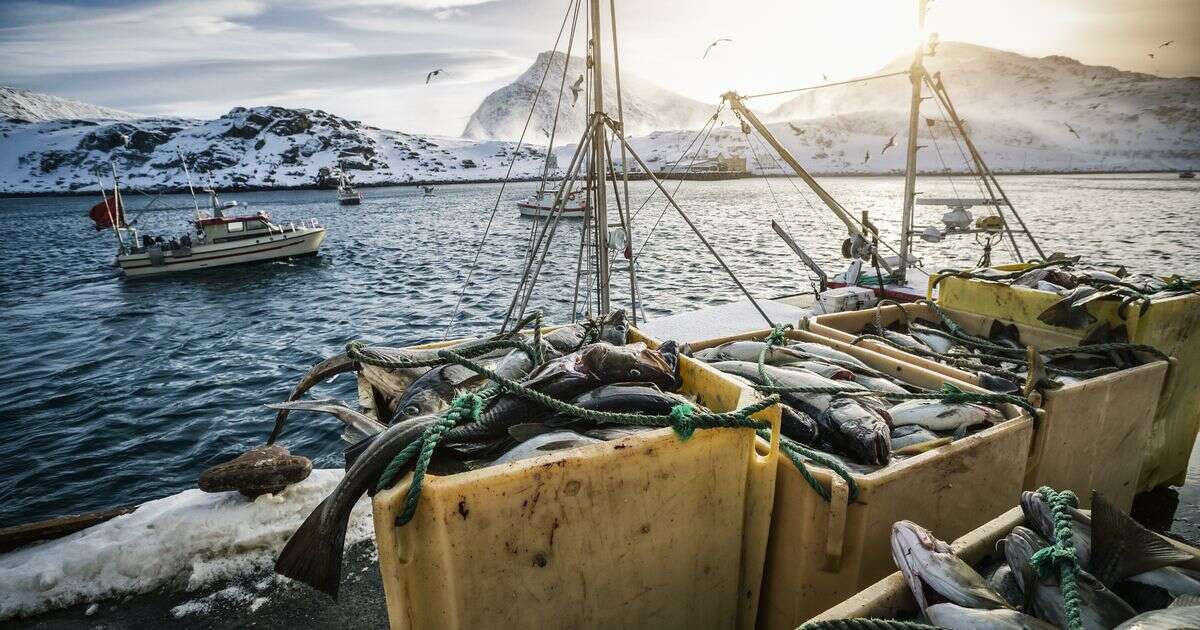 Norway fishermen go hunting for halibut but end up catching a US Navy nuclear submarine