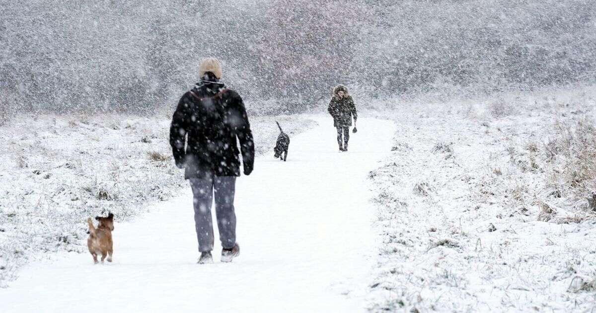 Met Office snow verdict revealed as -3C Baltic blast set to hit Brits in days