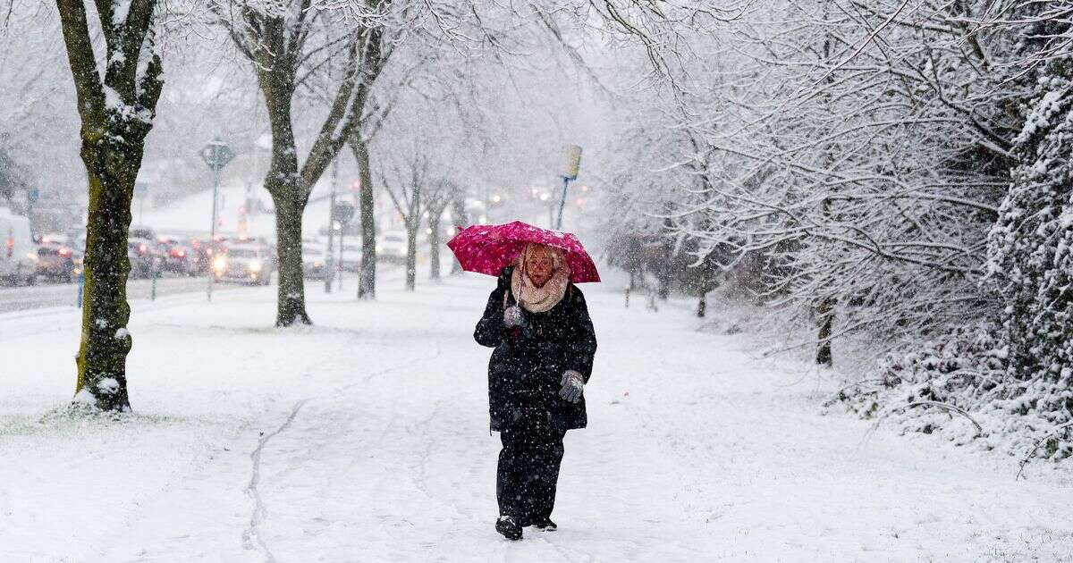 Met Office major snow 'warning' as almost all of UK expected to plunge to -4C in days