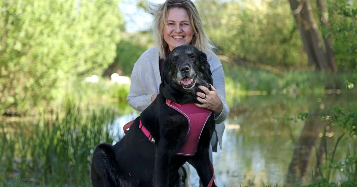 How a brave Labrador left behind in Ukraine made a remarkable journey back to her family