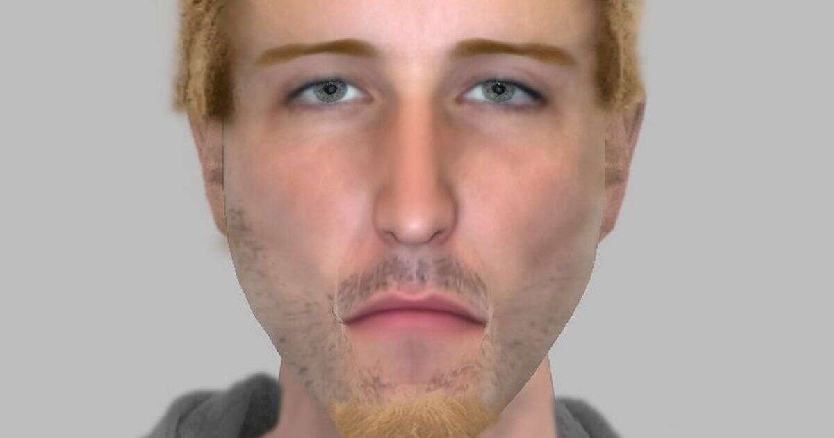 E-fit of man suspected of robbing woman leaves many baffled saying it's a top England star