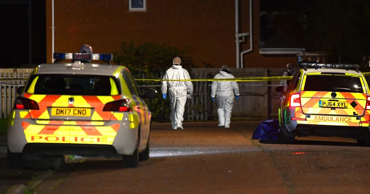 Teenager, 19, shot dead as murder probe launched after 'cold blooded' attack