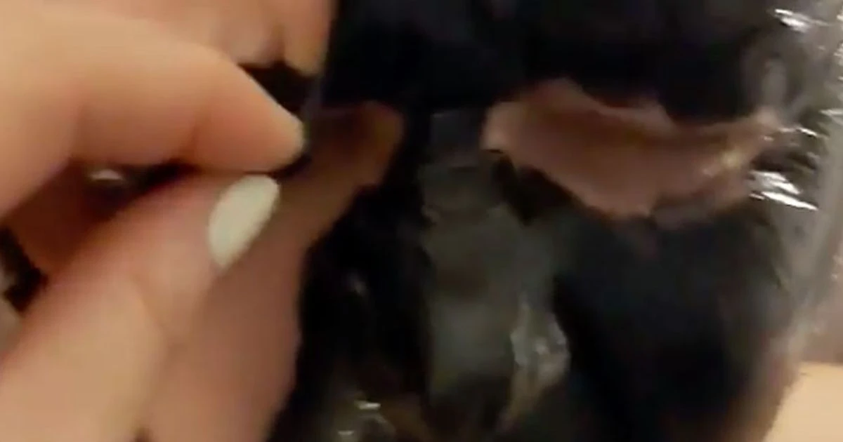 Dad left without eyebrows in hilarious face mask fail after covering his entire face