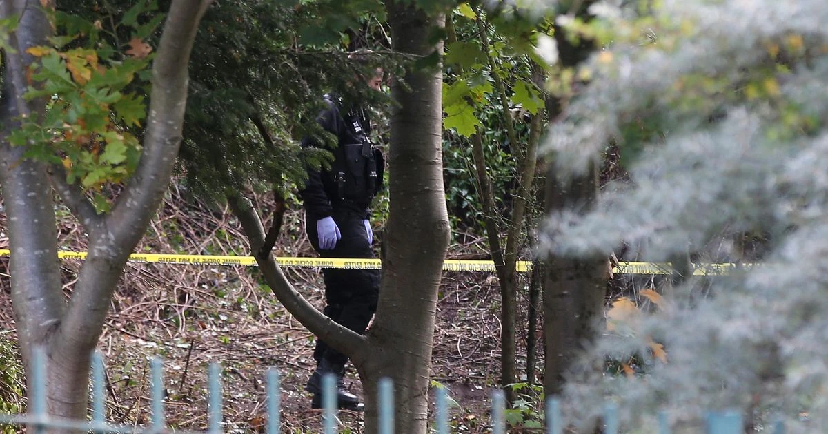 Police finally find head and arms of man murdered and chopped up eight years ago