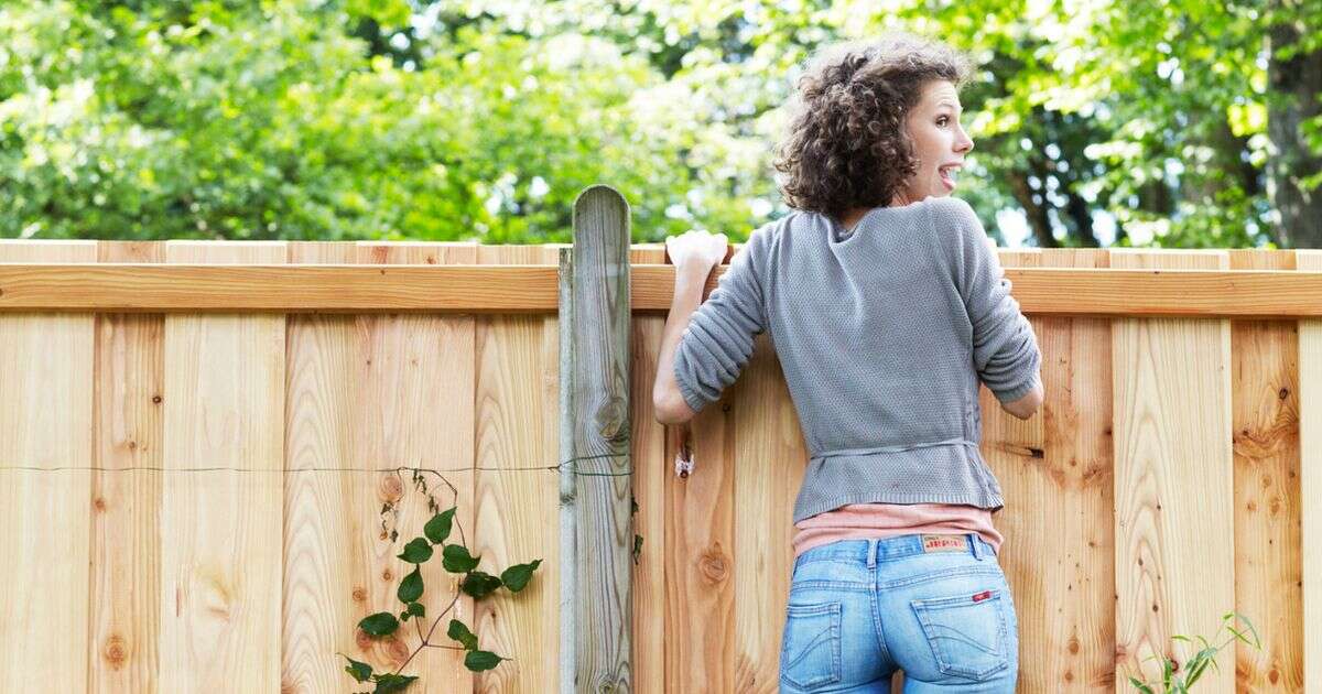 'I'm a landscape gardener - there is an easy way to get privacy but it is not a fence'