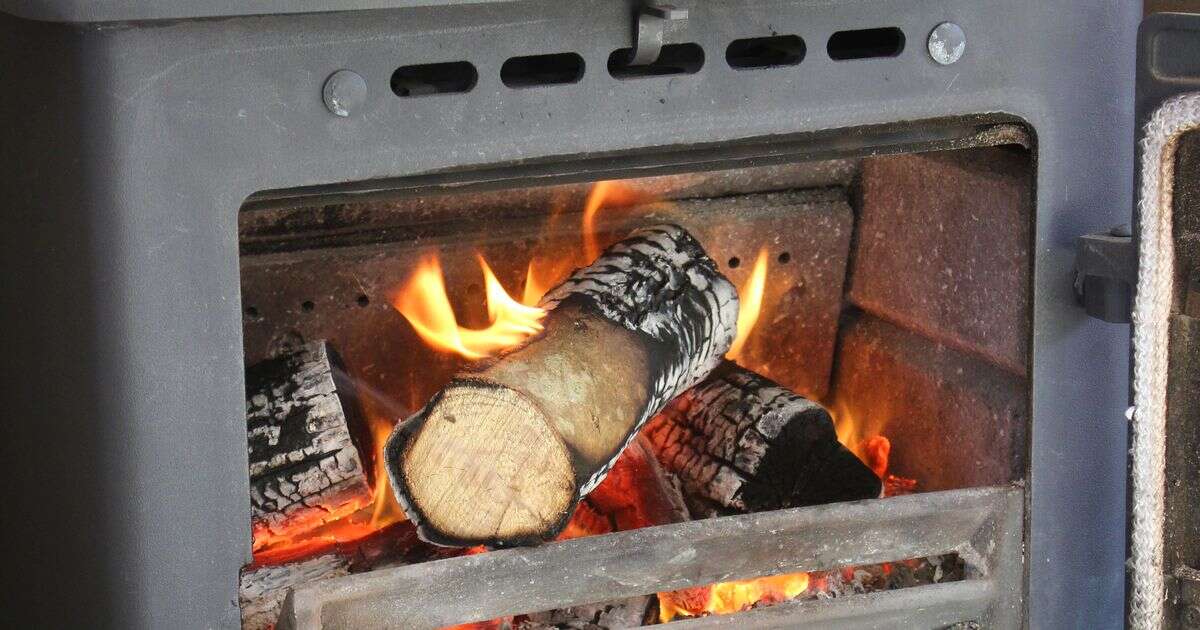 Wood burners in urban homes 'should be phased out to protect children's health'