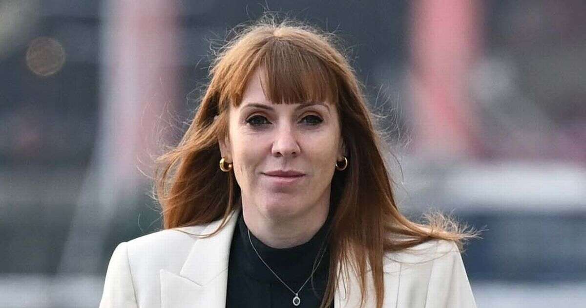 Angela Rayner insists she didn't break rules over donor funded New York holidayLabour Party