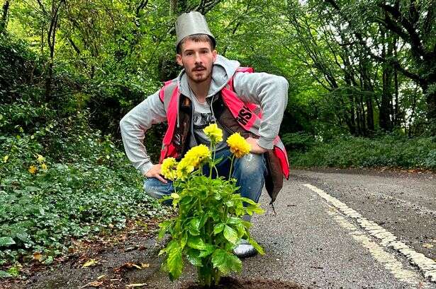 Bloke's bizarre way to draw attention to crumbling roads by filling potholes with flowers