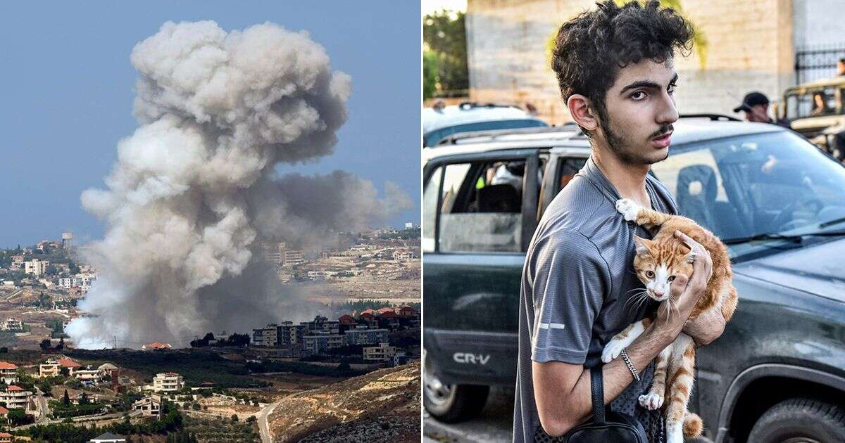 Israel kills almost 500 in airstrikes and warns it will do 'whatever is necessary'